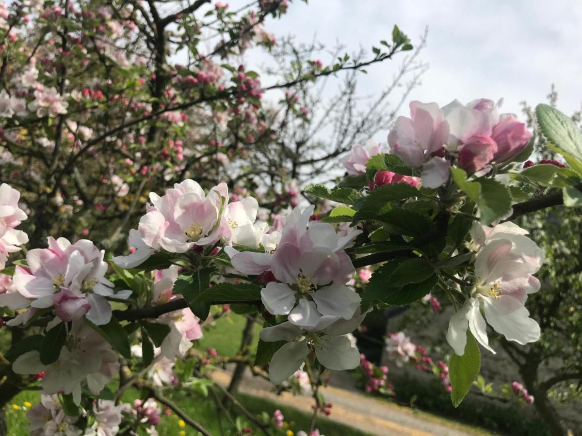 Hébergement de vacances Normandia Du Lieu Foison